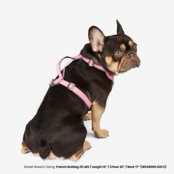 Nandog Pet Gear Neoprene Sport Dog Harness - Pink Size : M - Picture 4 of 6